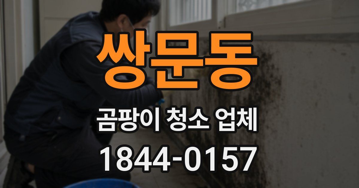쌍문동 곰팡이 청소 업체