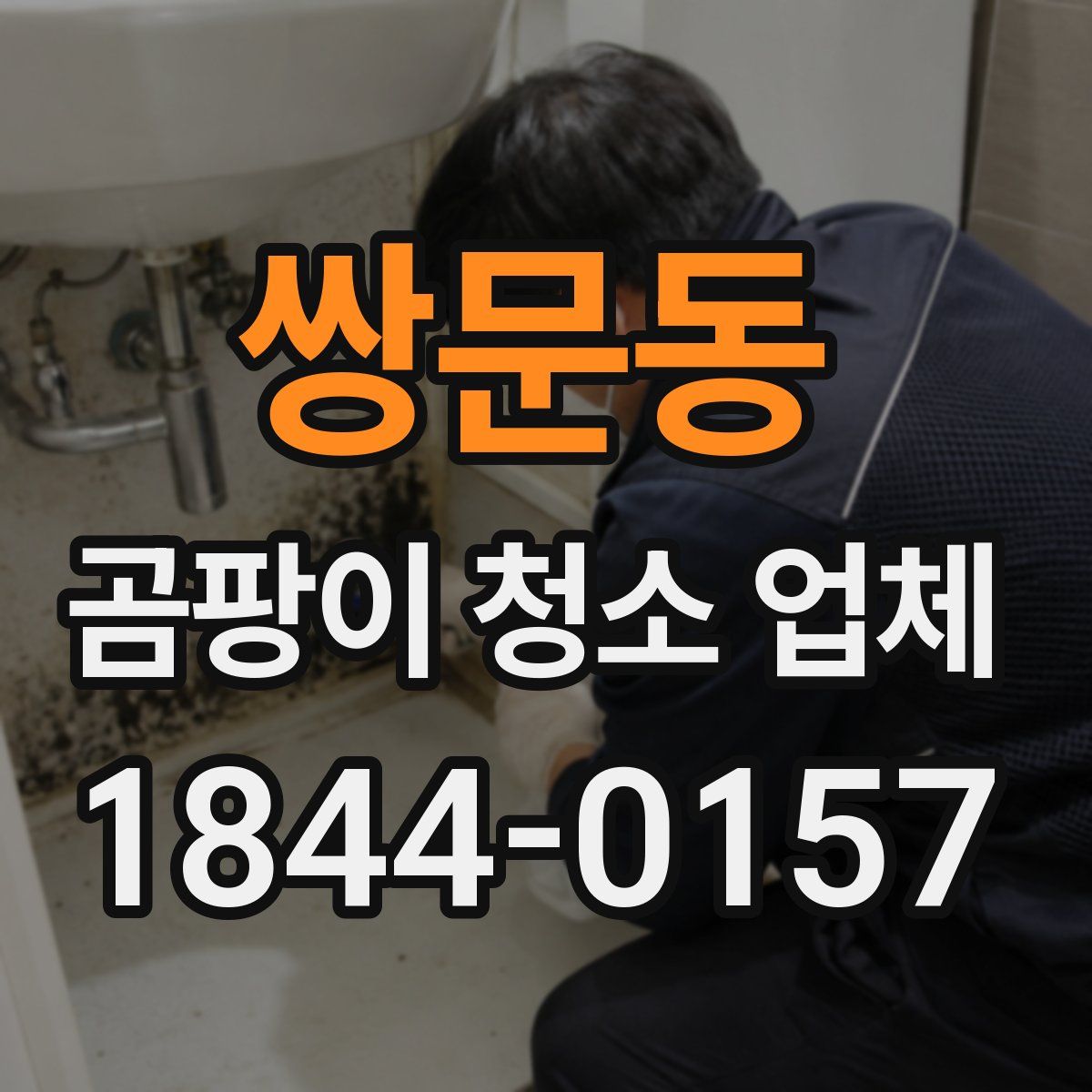 쌍문동 곰팡이 청소 업체
