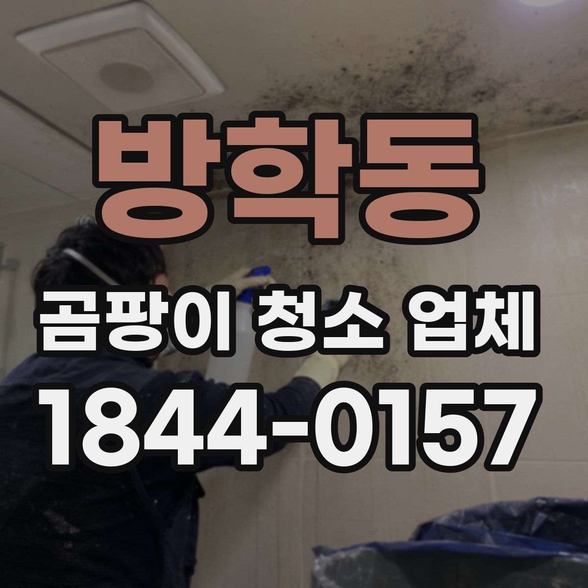 방학동 곰팡이 청소 업체