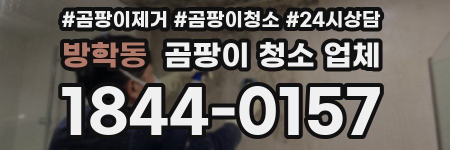 방학동 곰팡이 청소 업체