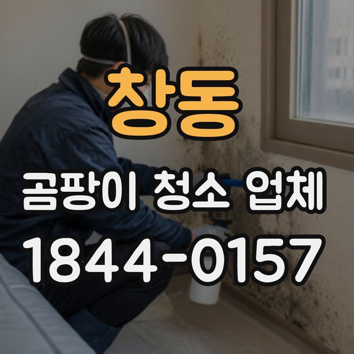 창동 곰팡이 청소 업체