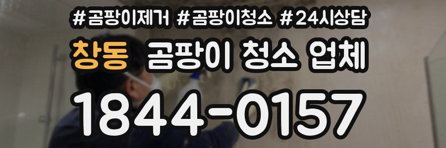 창동 곰팡이 청소 업체