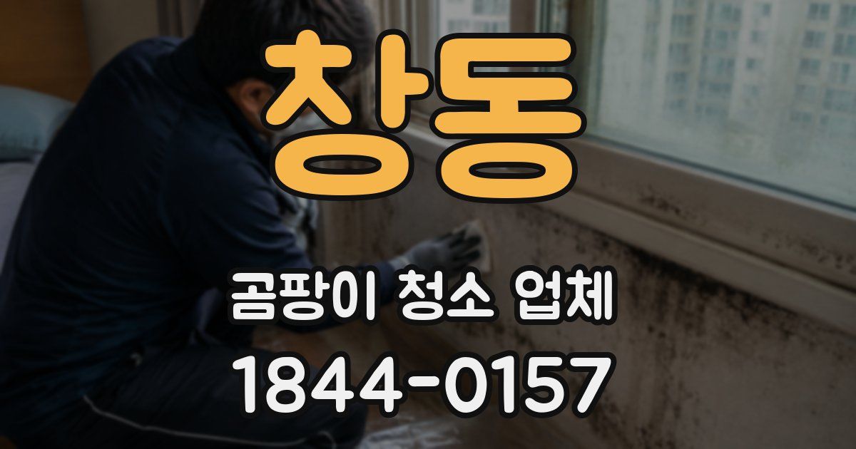 창동 곰팡이 청소 업체
