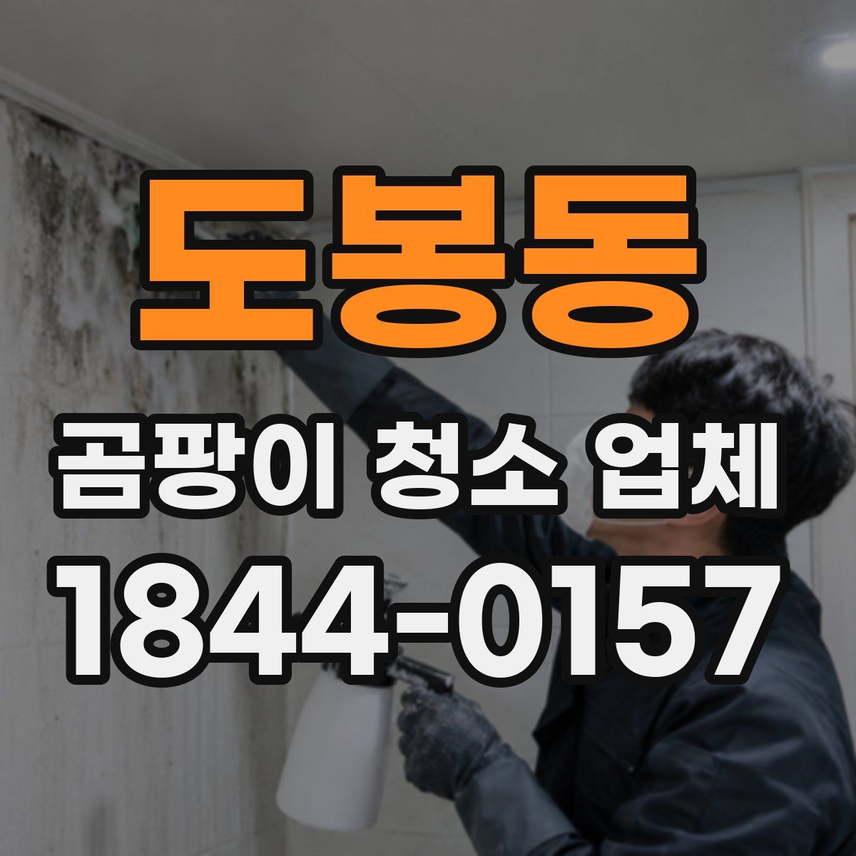 도봉동 곰팡이 청소 업체