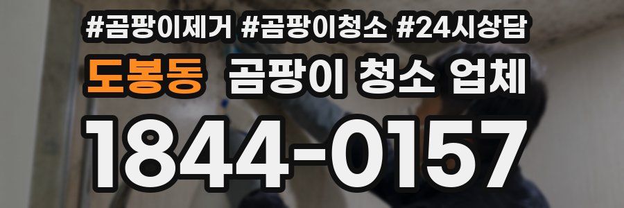도봉동 곰팡이 청소 업체