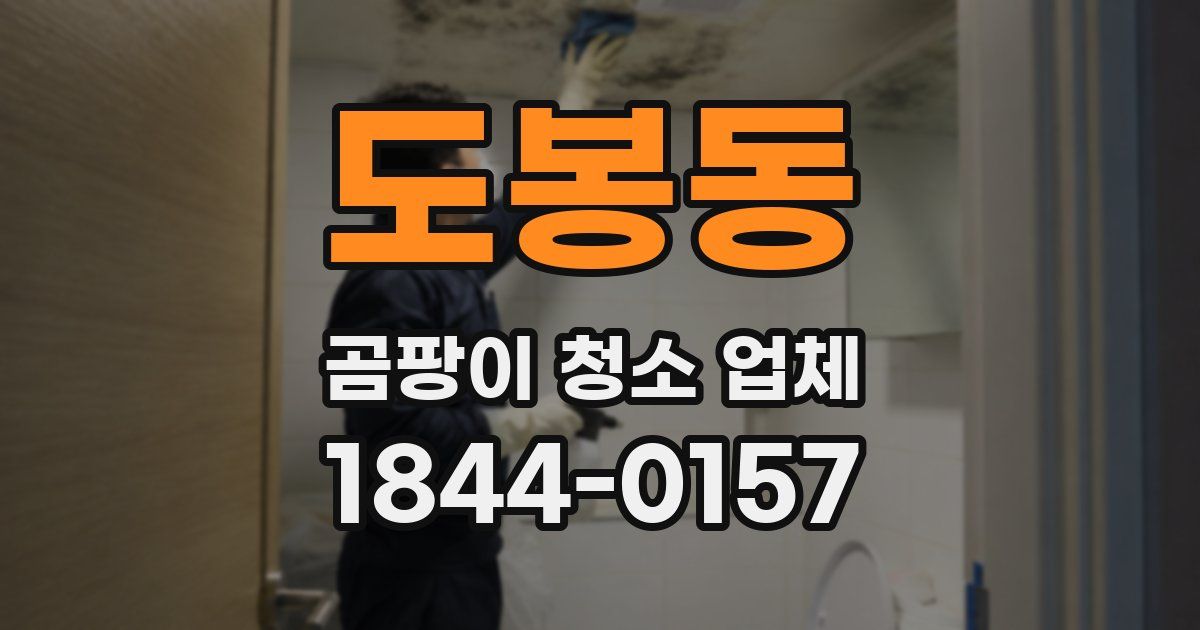 도봉동 곰팡이 청소 업체
