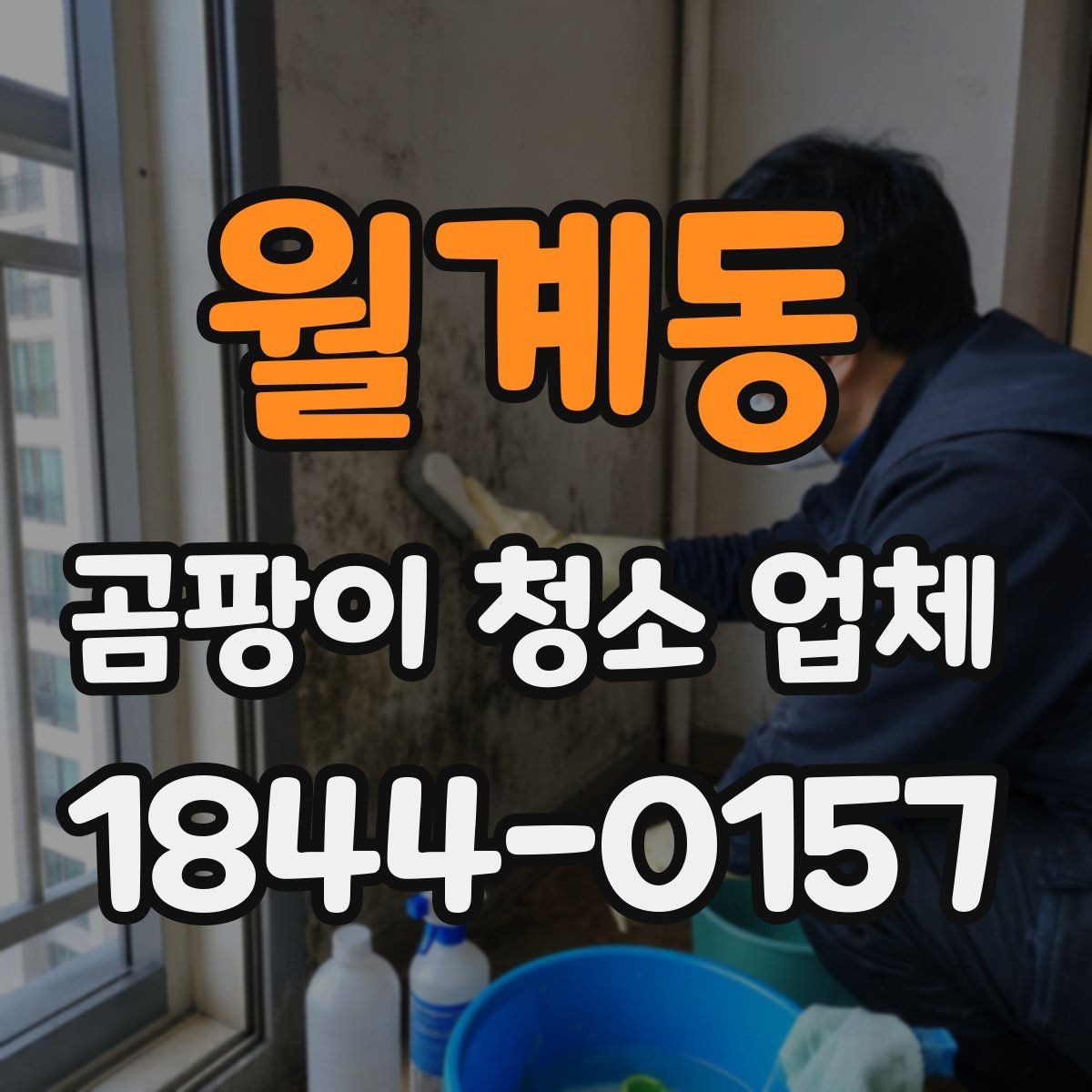 월계동 곰팡이 청소 업체 견적 전 확인할 현장 작업 항목