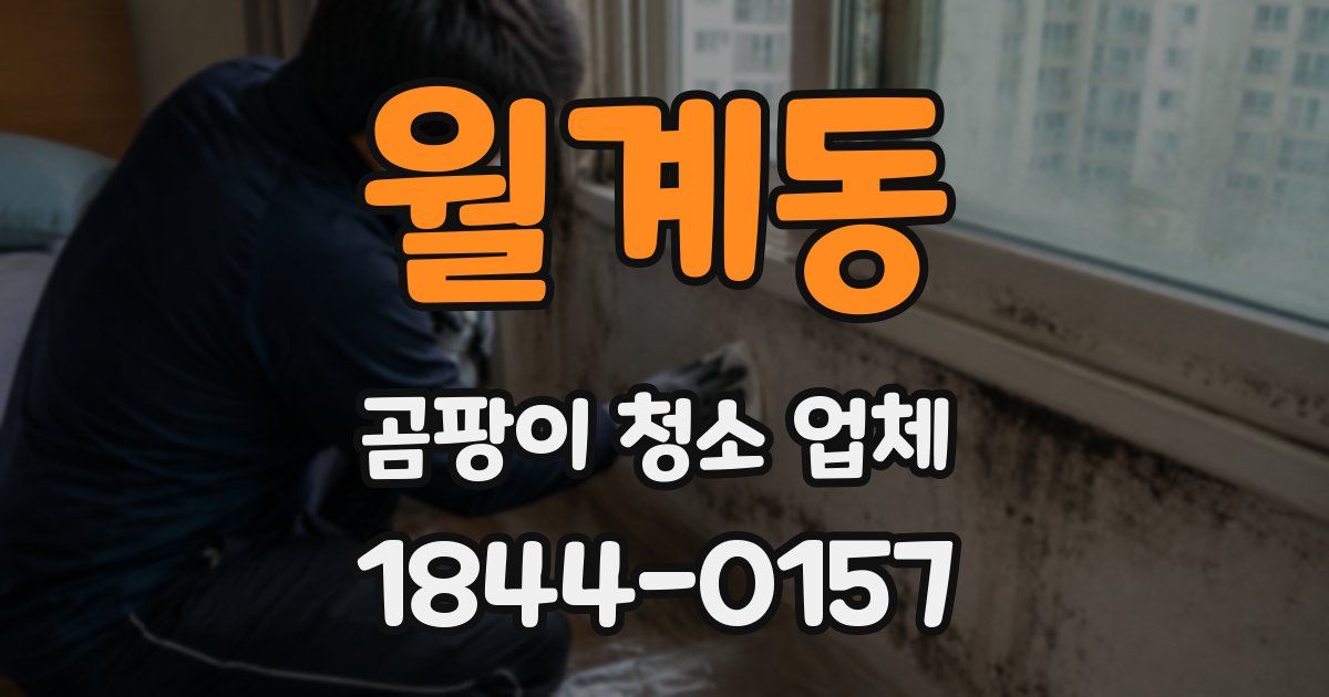 월계동 곰팡이 청소 업체