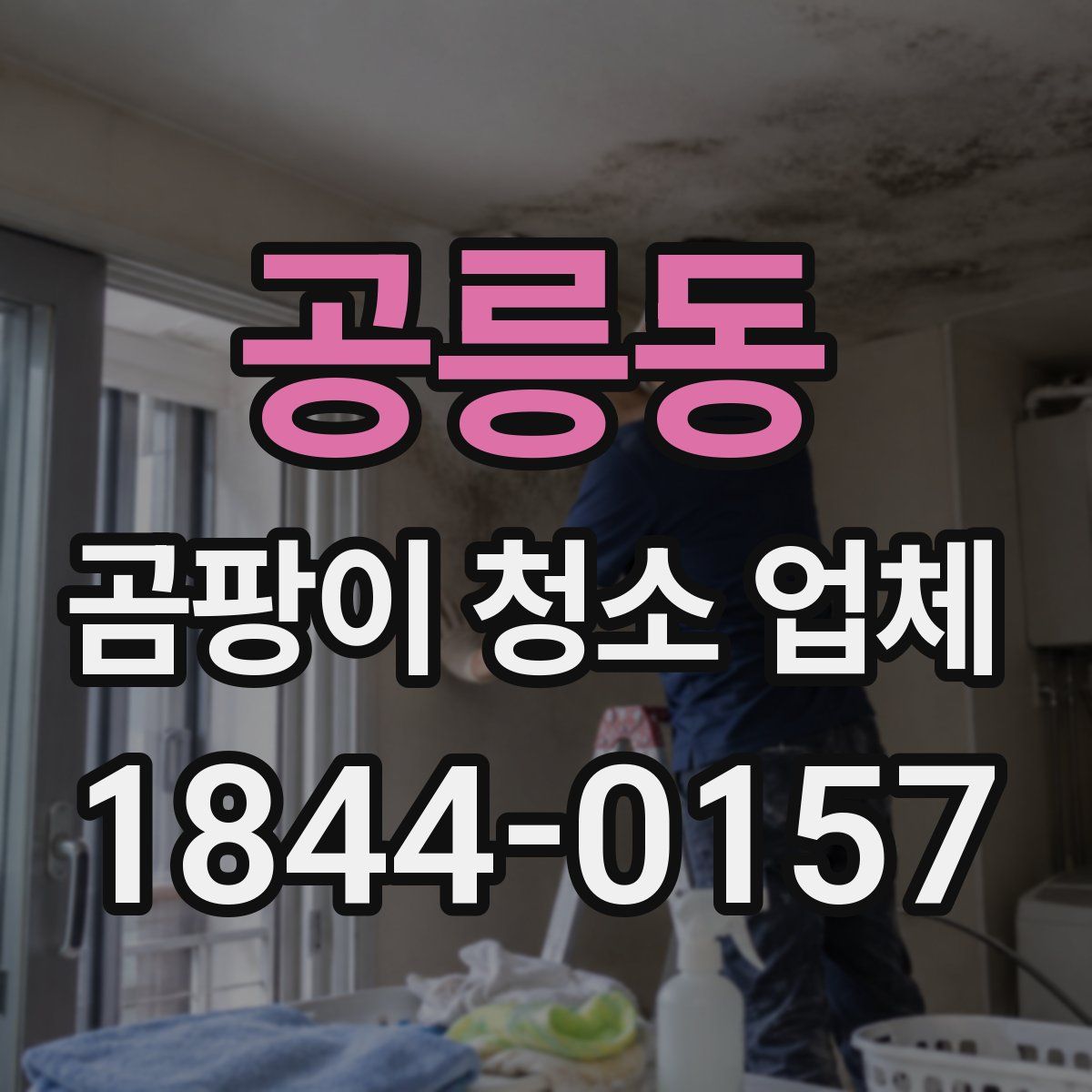 공릉동 곰팡이 청소 업체