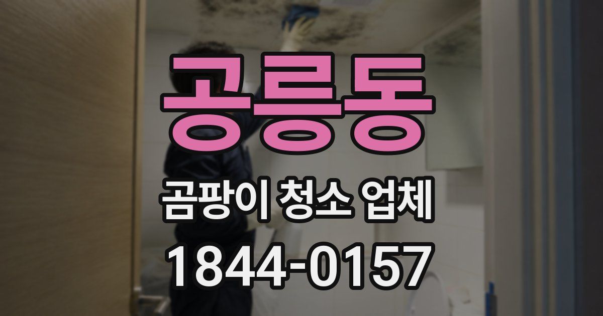 공릉동 곰팡이 청소 업체