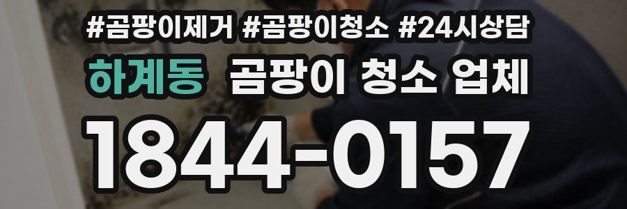 하계동 곰팡이 청소 업체