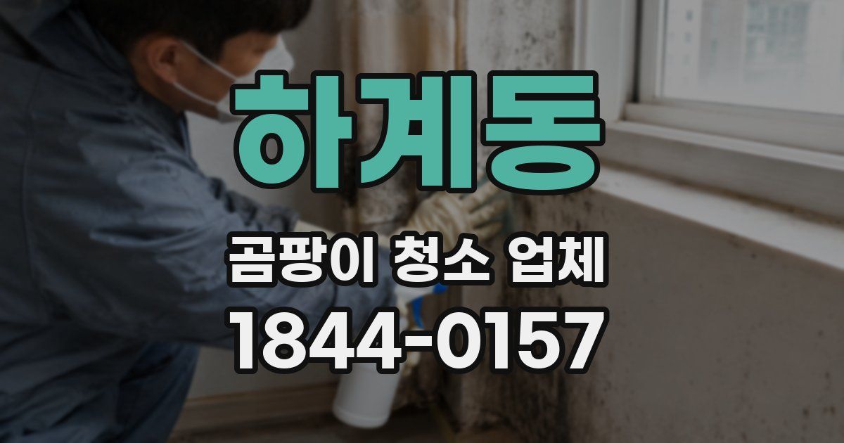 하계동 곰팡이 청소 업체