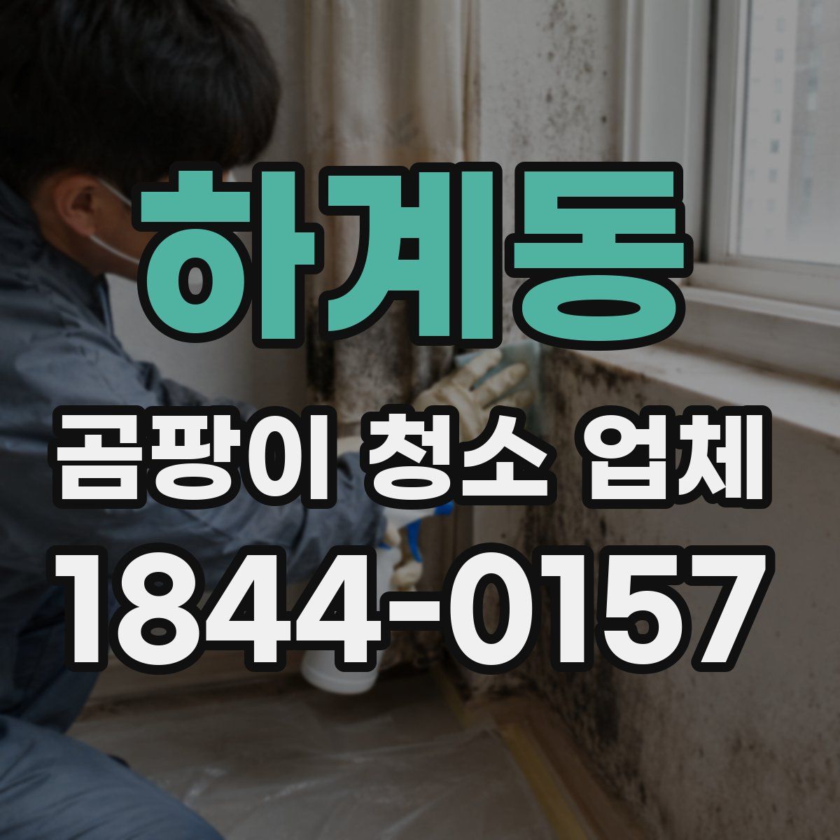 하계동 곰팡이 청소 업체