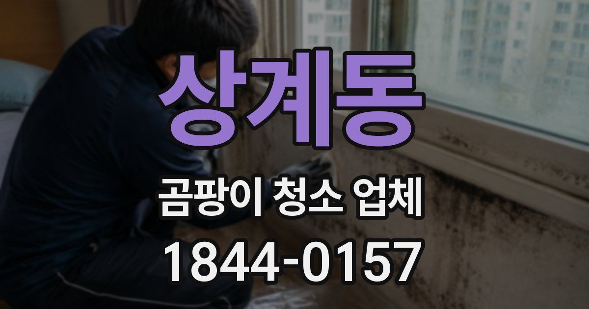 상계동 곰팡이 청소 업체