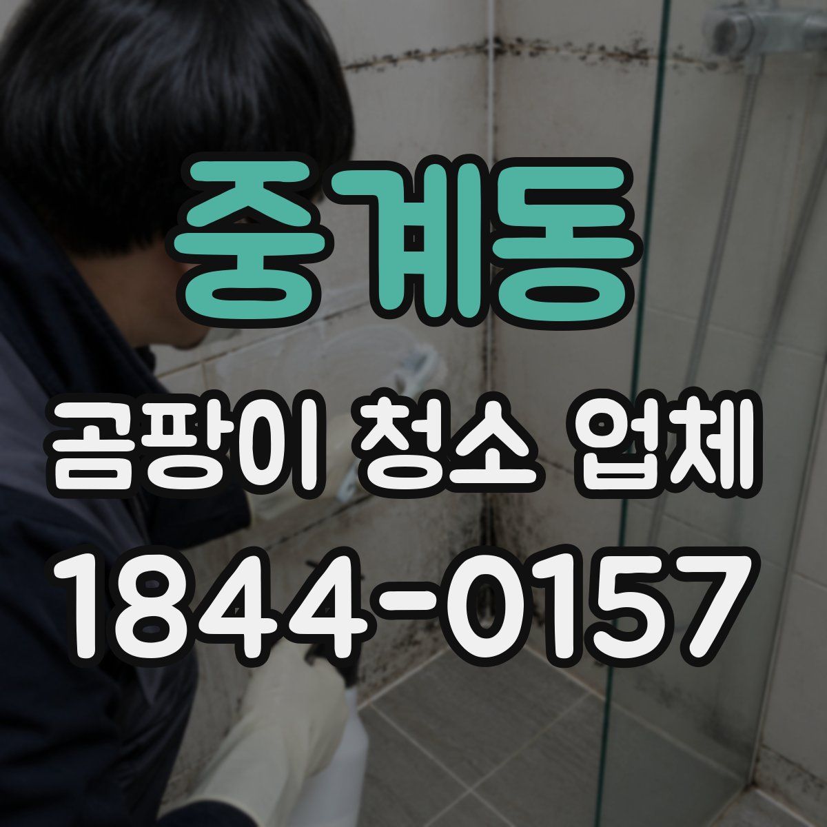 중계동 곰팡이 청소 업체