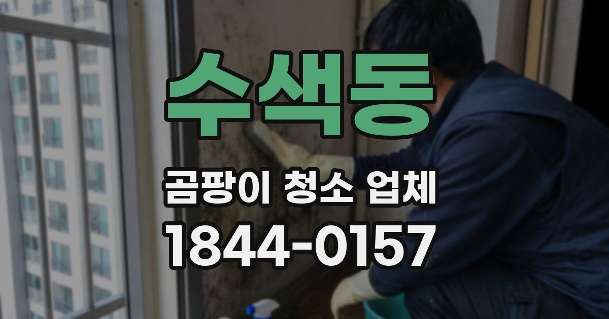 수색동 곰팡이 청소 업체