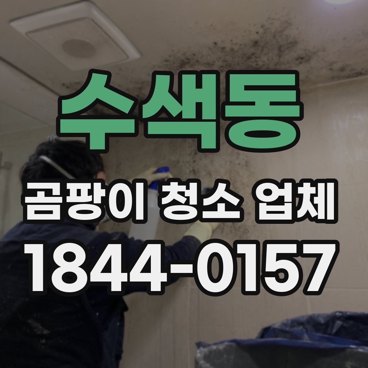 수색동 곰팡이 청소 업체