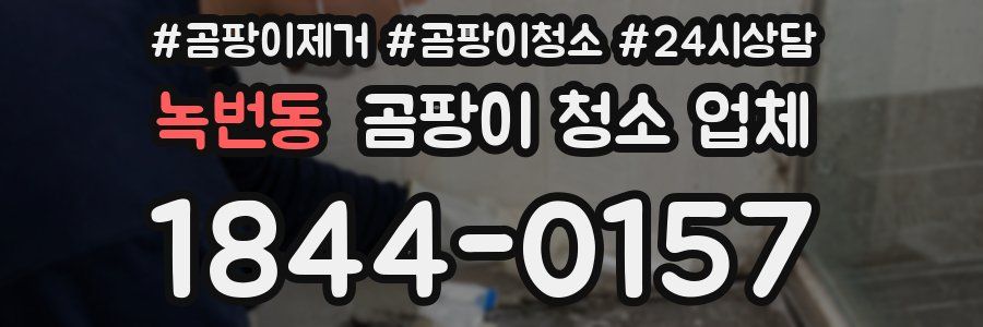 녹번동 곰팡이 청소 업체