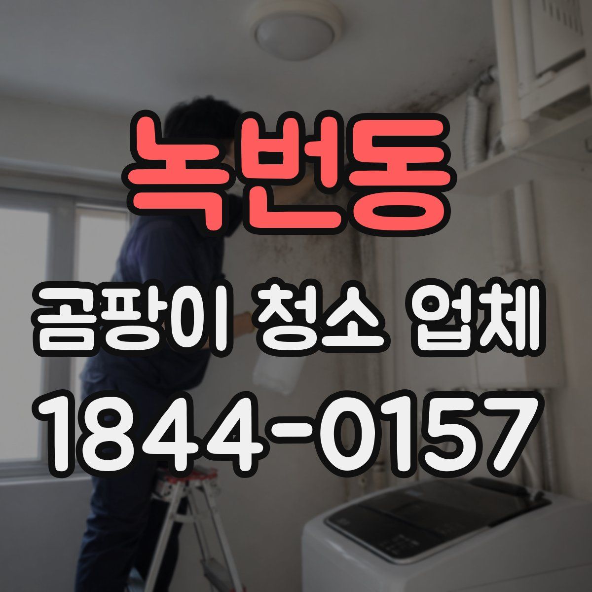 녹번동 곰팡이 청소 업체