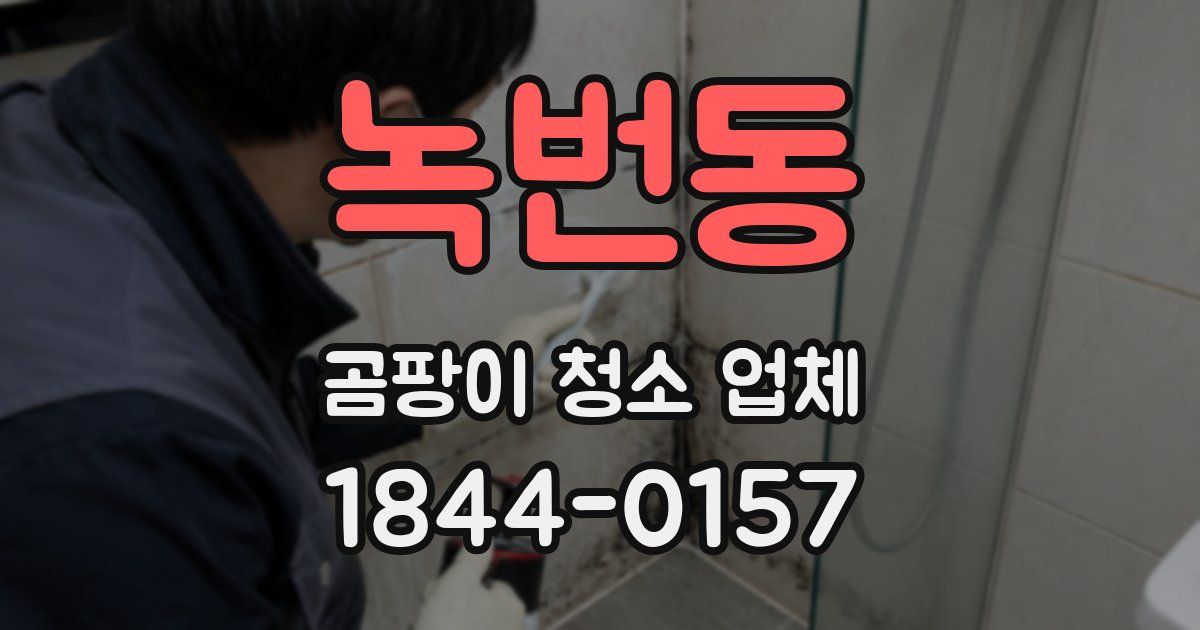 녹번동 곰팡이 청소 업체