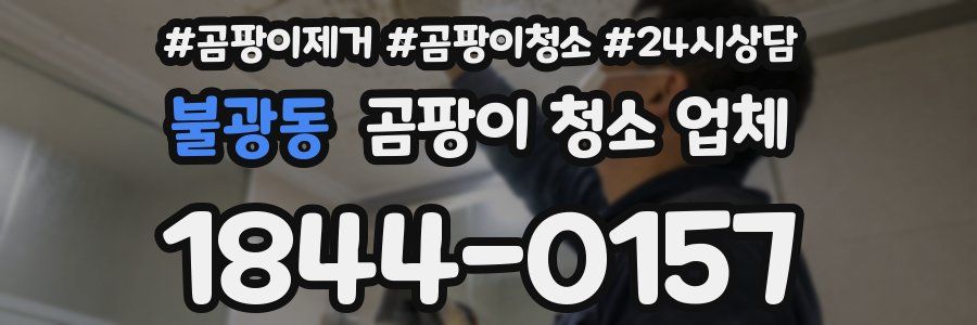 불광동 곰팡이 청소 업체