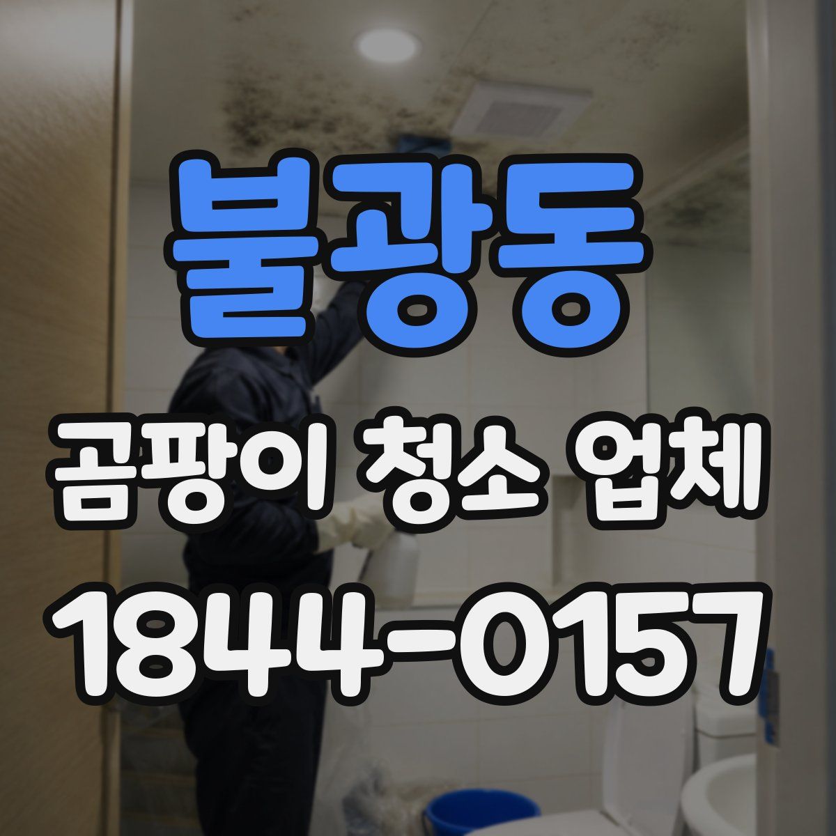 불광동 곰팡이 청소 업체