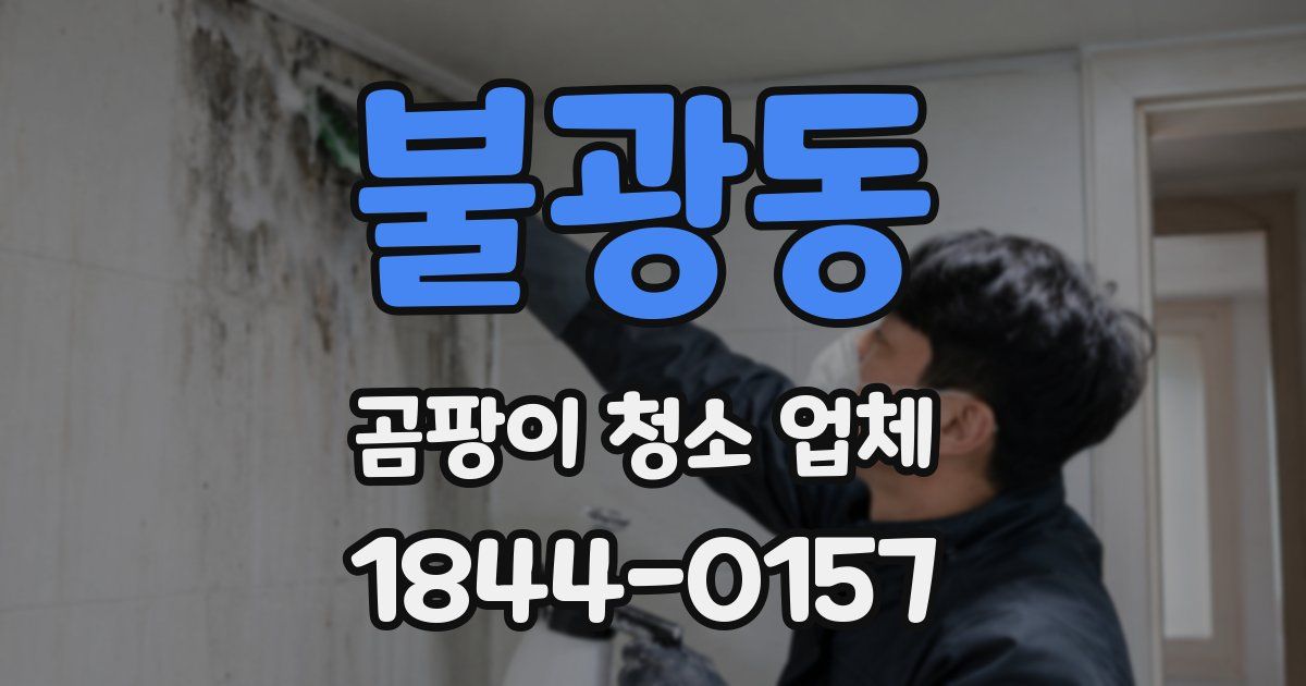 불광동 곰팡이 청소 업체