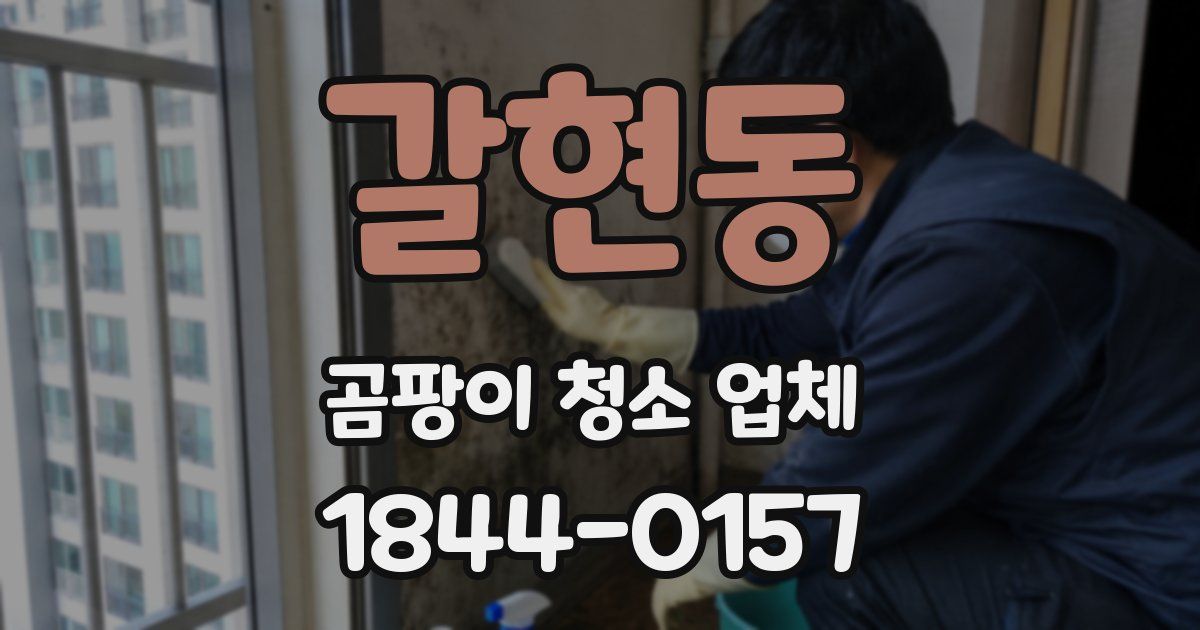 갈현동 곰팡이 청소 업체