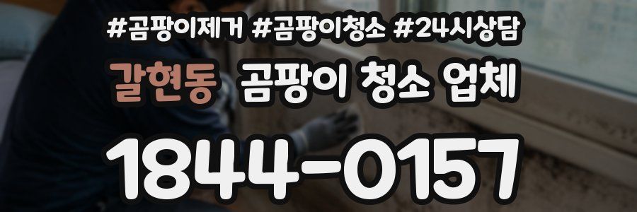 갈현동 곰팡이 청소 업체