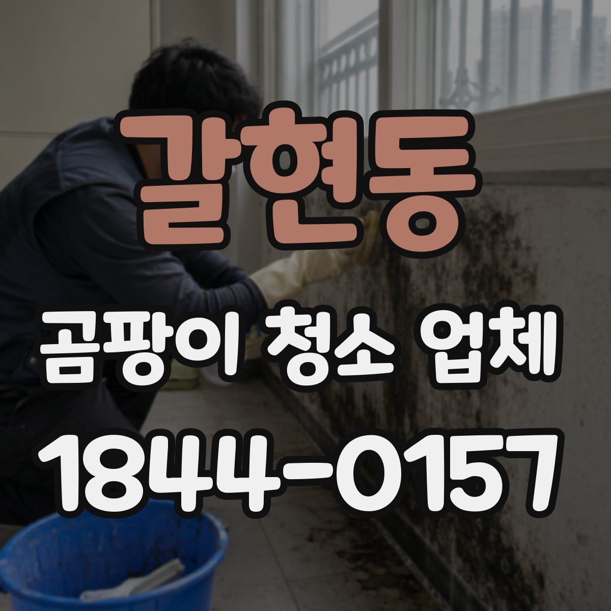 갈현동 곰팡이 청소 업체