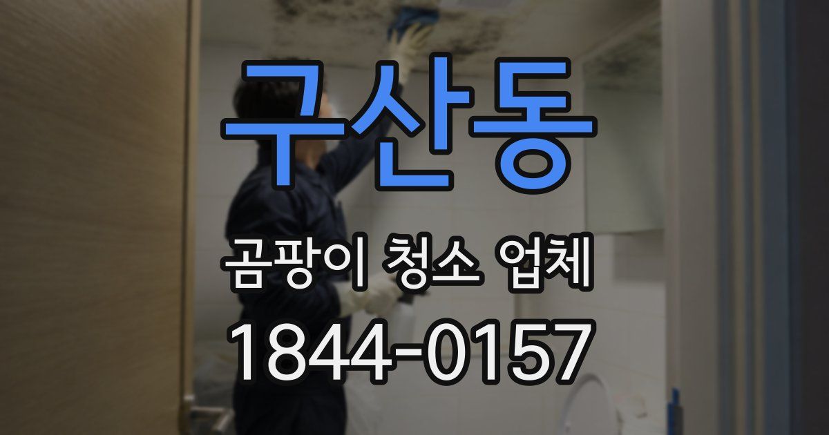 구산동 곰팡이 청소 업체