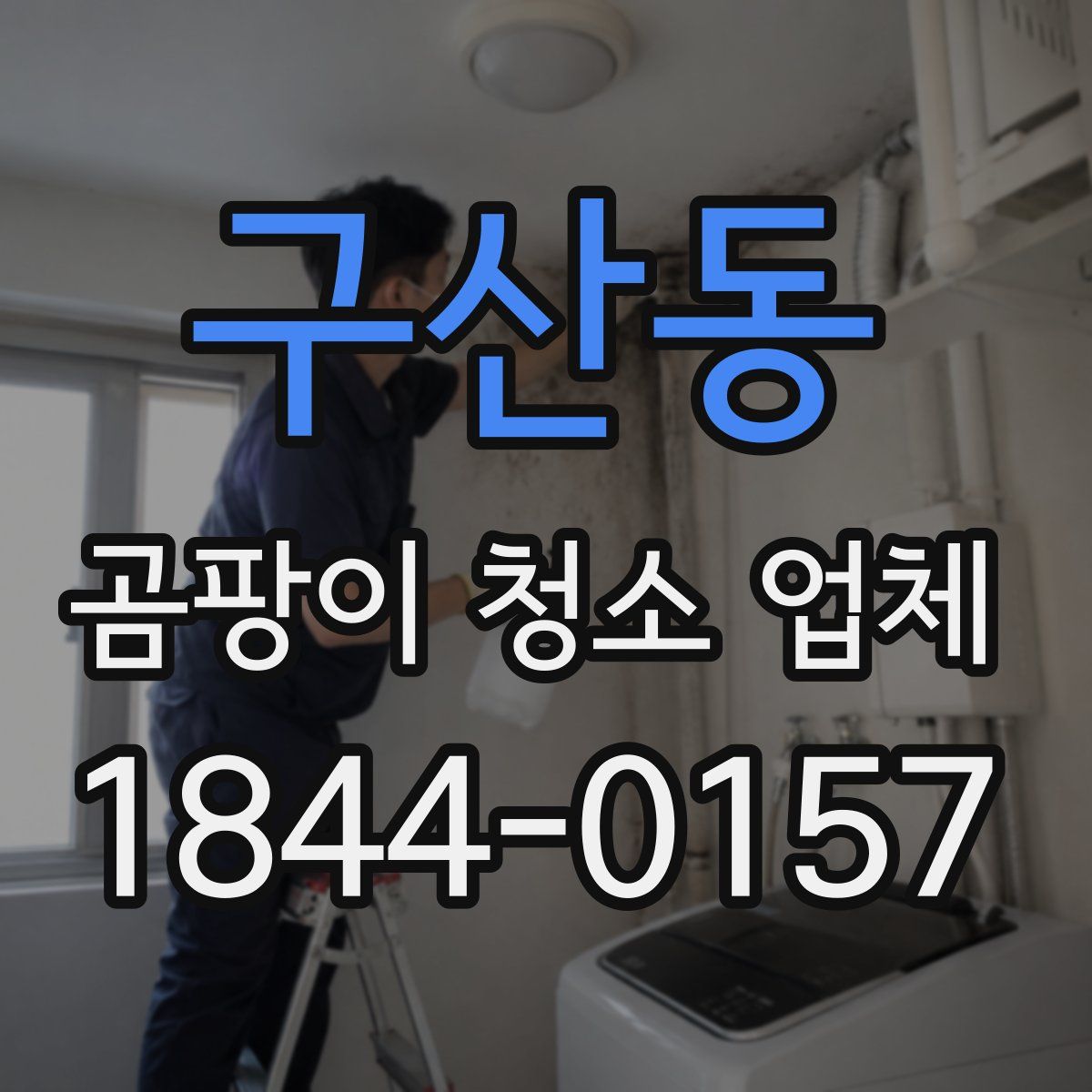 구산동 곰팡이 청소 업체