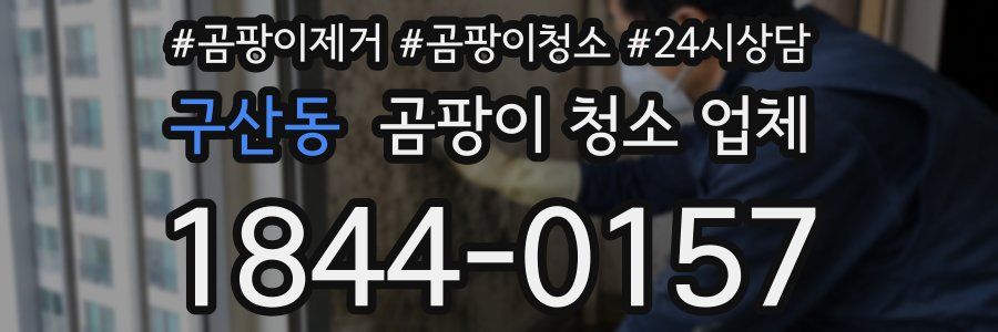 구산동 곰팡이 청소 업체