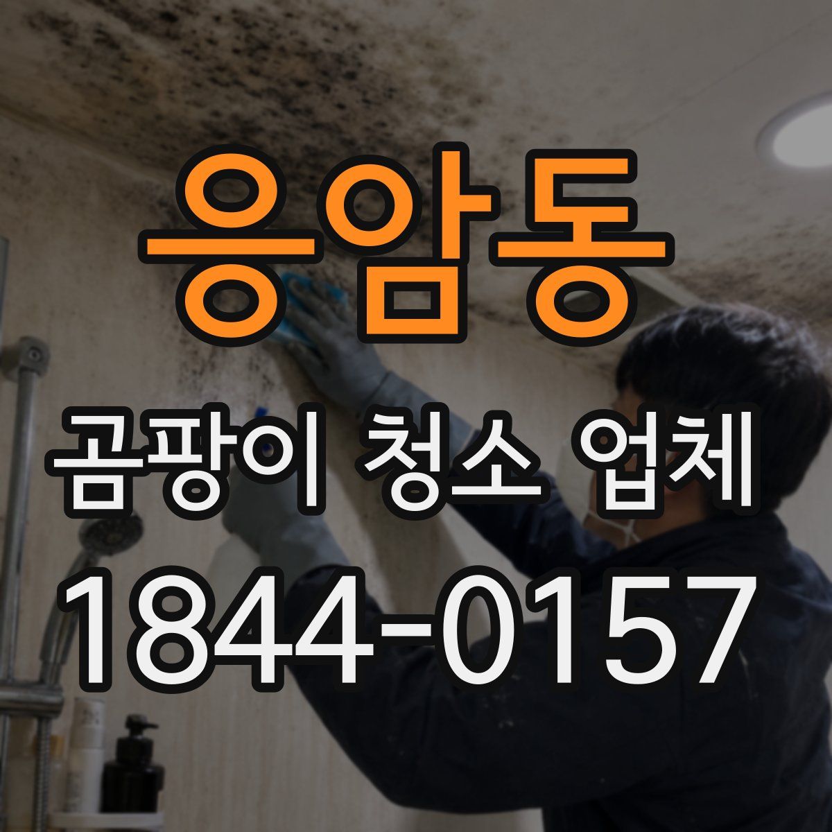 응암동 곰팡이 청소 업체