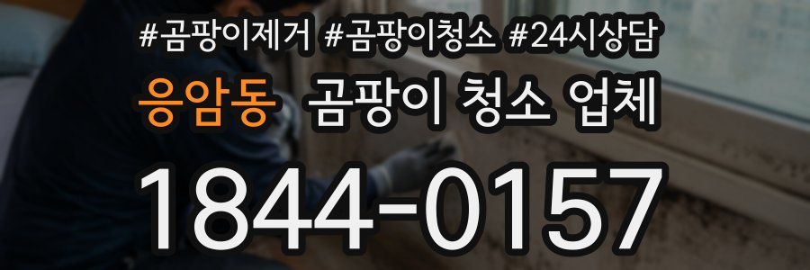 응암동 곰팡이 청소 업체