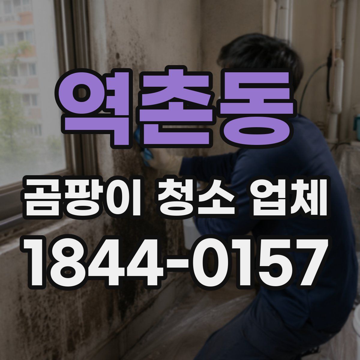 역촌동 곰팡이 청소 업체