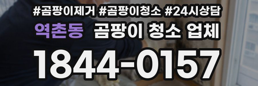 역촌동 곰팡이 청소 업체
