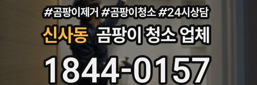신사동 곰팡이 청소 업체
