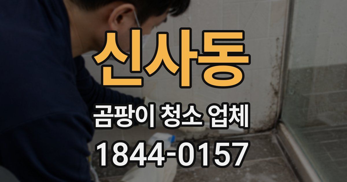 신사동 곰팡이 청소 업체