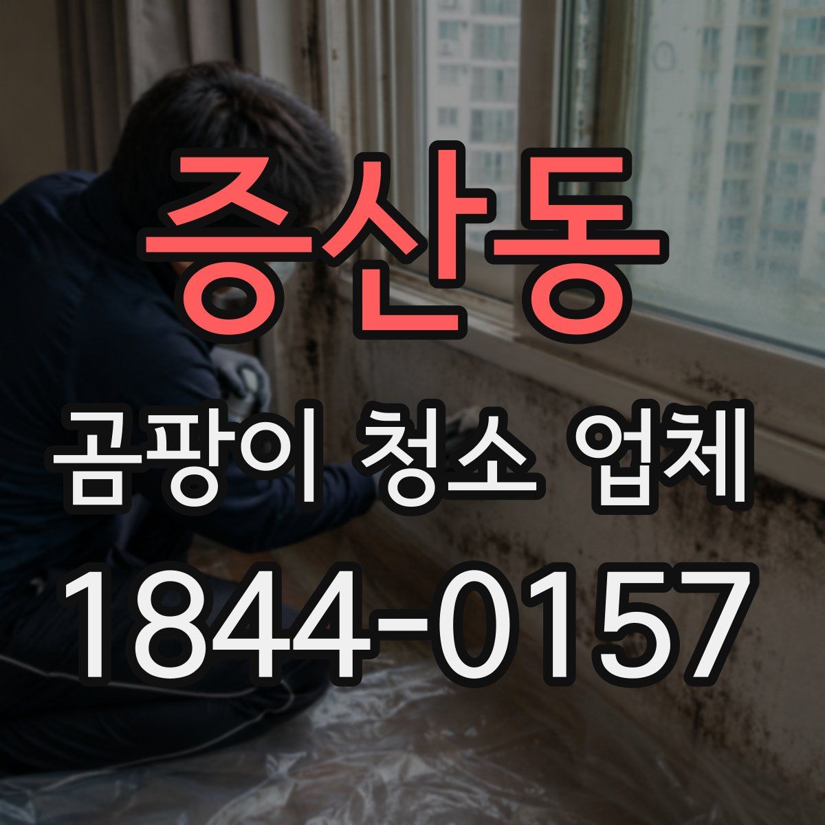 증산동 곰팡이 청소 업체