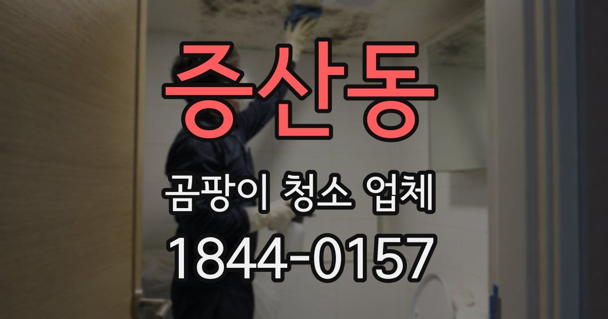 증산동 곰팡이 청소 업체