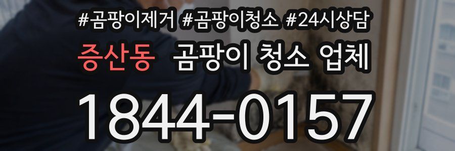 증산동 곰팡이 청소 업체