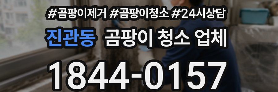 진관동 곰팡이 청소 업체