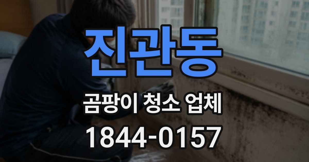 진관동 곰팡이 청소 업체