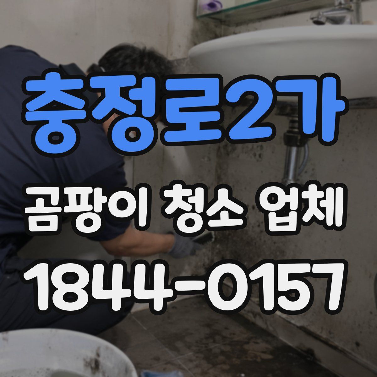 충정로2가 곰팡이 청소 업체