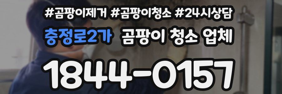 충정로2가 곰팡이 청소 업체