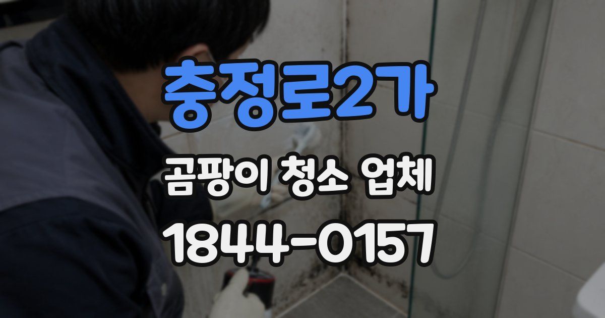 충정로2가 곰팡이 청소 업체