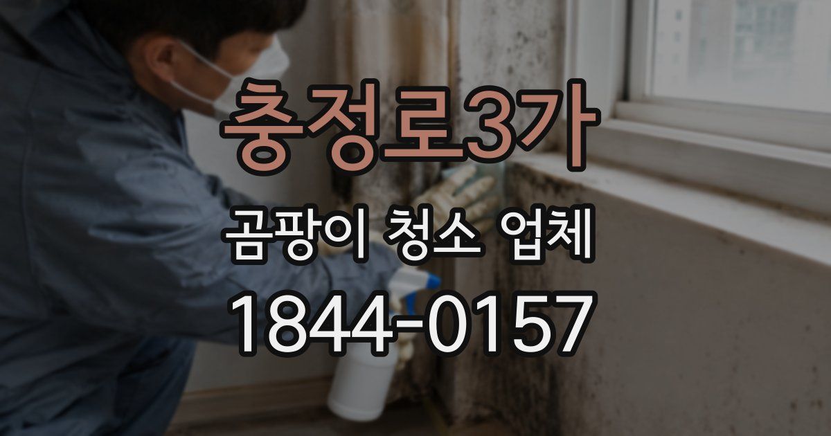 충정로3가 곰팡이 청소 업체
