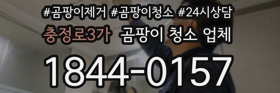 충정로3가 곰팡이 청소 업체