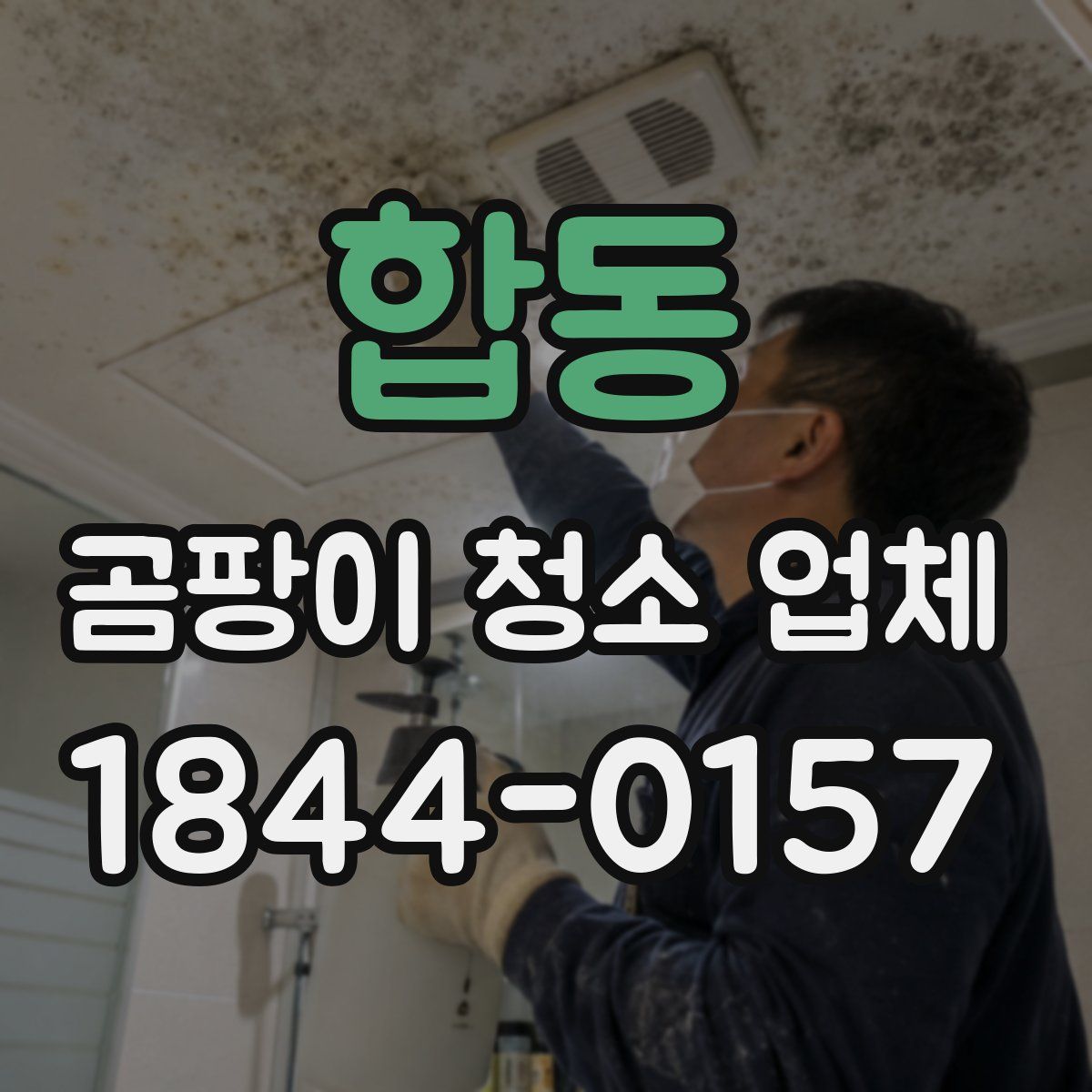 합동 곰팡이 청소 업체